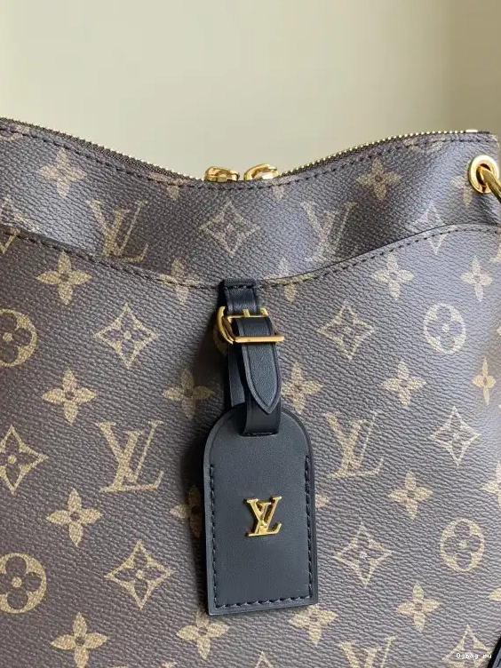 LOUIS VUITTON PM ODÉON 0520